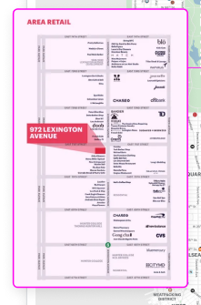 Neighborhood mapping — area retail competitor map for 972 Lexington Avenue